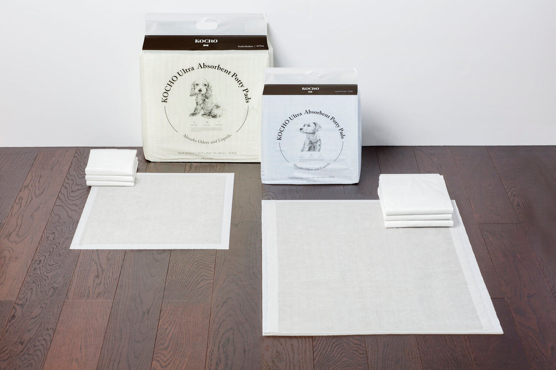 How To Choose the Right Size Pad for Your Dog