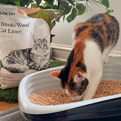 Hinoki Wood Cat Litter